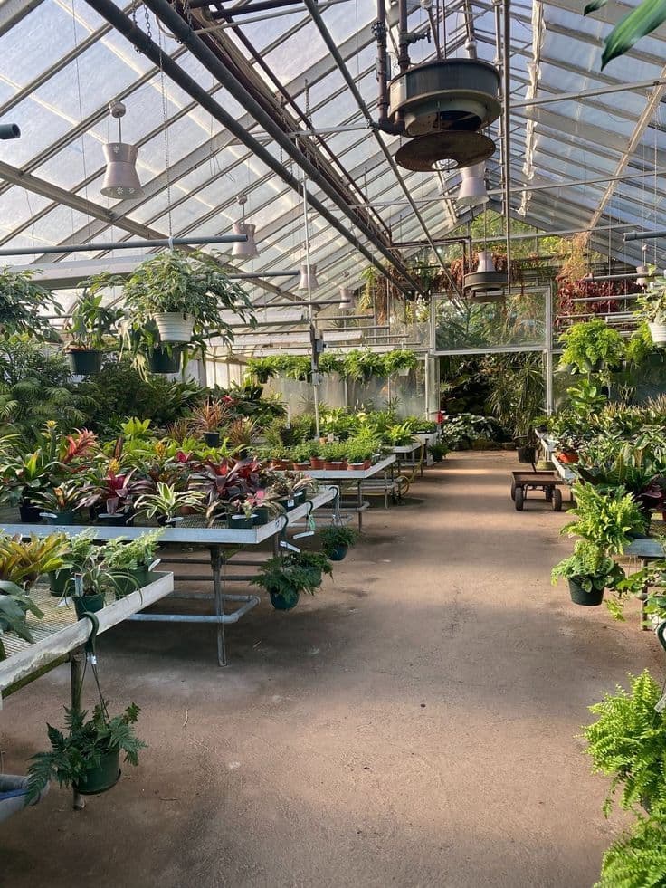 Our Greenhouse